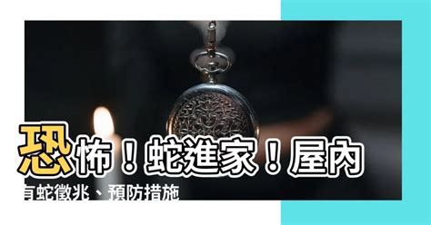 有蛇入屋 風水|【黑蛇進屋子代表什麼意思】驚！家中黑蛇出沒，預示着什麼吉兆。